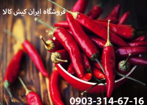 ژل لاغری فلفل ابرو شالی
